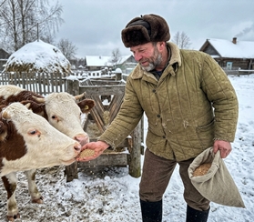 Технология плющения зерна с применением химических консервантов узнать