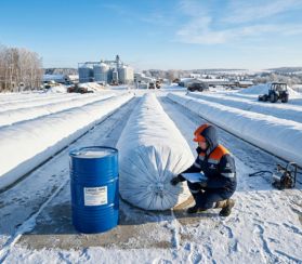 Технология плющения зерна Murska с применением химического консерванта «AIV 2000+»