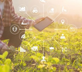 Цифровое земледелие: как ИИ повышает эффективность сельского хозяйства