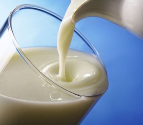 В 2021 году на производство молока на Кубани направят 1 млрд руб.