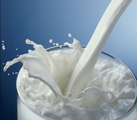 В 2021 году в Калужской области произведут 460.000 тонн молока 