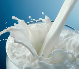 Высокие объемы продаж молока в 2022 г