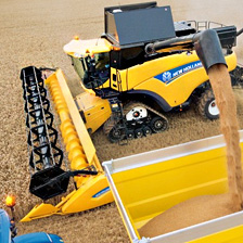 Заказать плющилки Murska, консерванты, упаковщики зерна