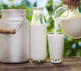 Рекомендации для улучшения качества молока