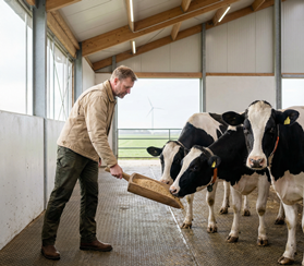 Как подобрать плющилку Murska по вальцам для плющения сухого зерна