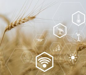 На Золотой осени обсудили развитие единой цифровой экосистемы АПК