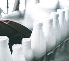 Объем производства молока на Кубани превысил 1,1 млн тонн