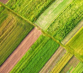 Российская разработка для кормозаготовки сократит потери фуража вдвое